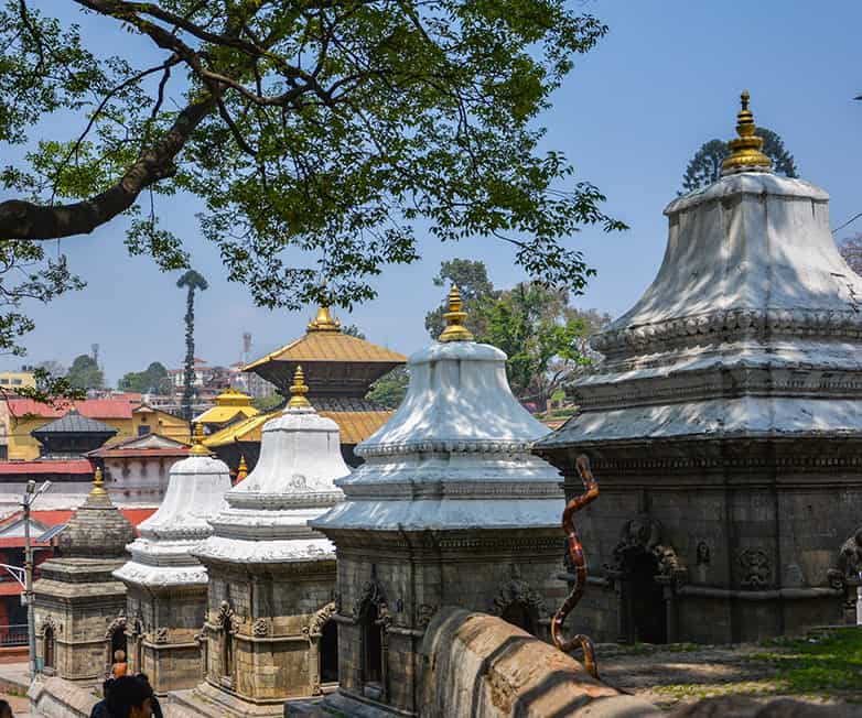 kathmandu travel guide - pashupatinath temple