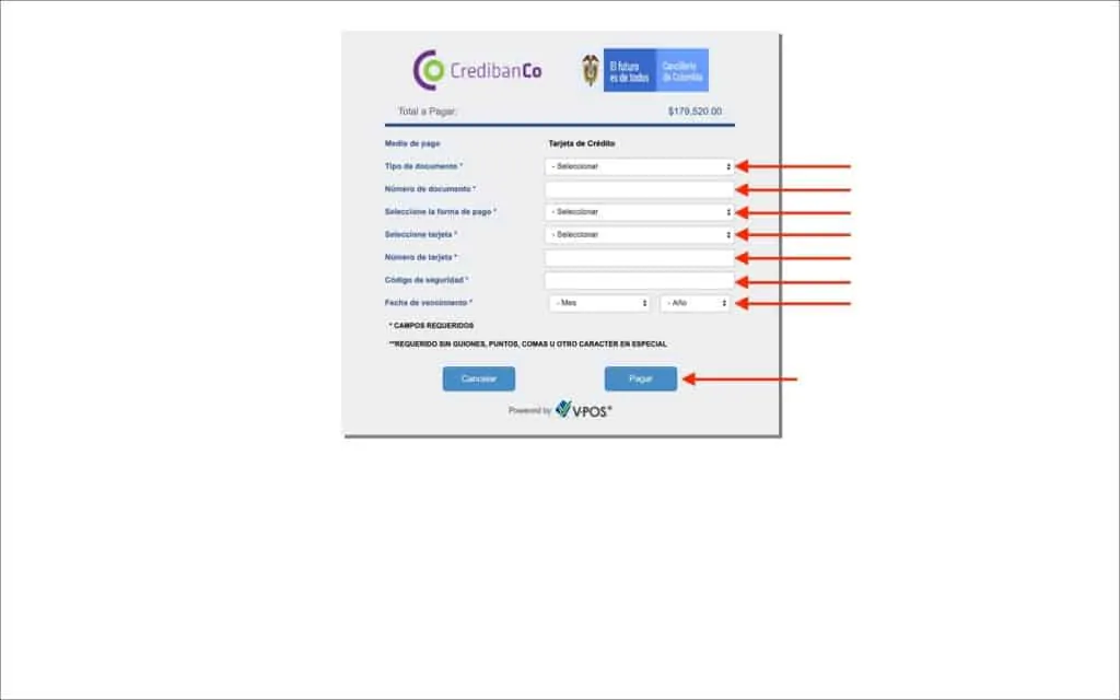 Credit Card Payment Page - Enter CC Details