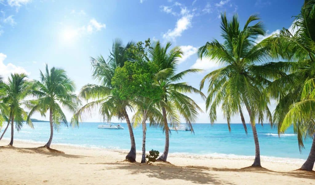 Beach of Catalina Island in Dominican Republic