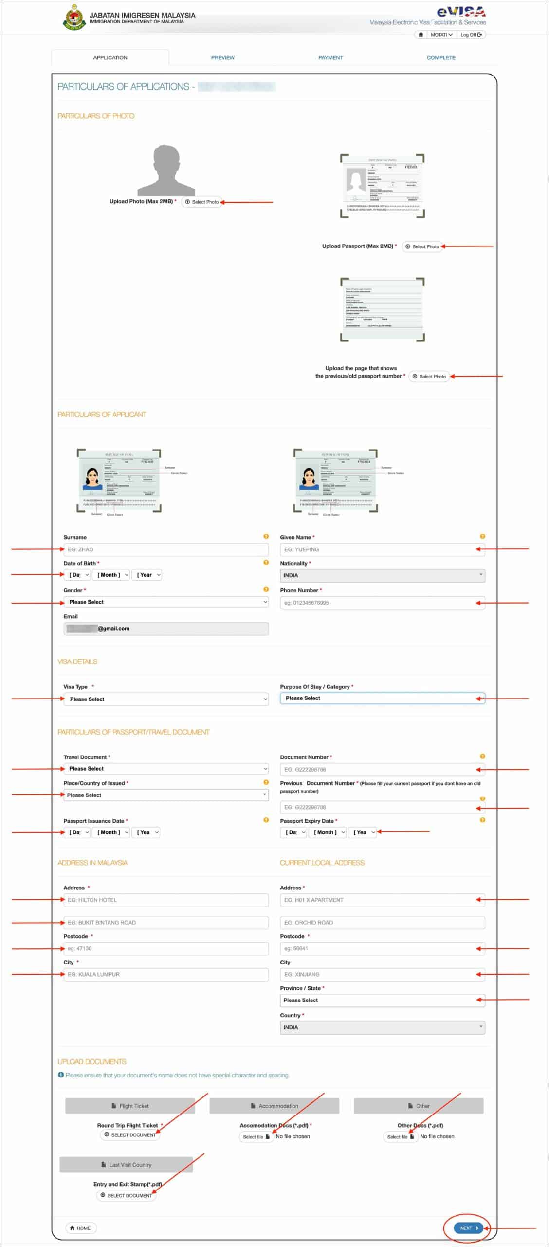 Malaysia eVisa Application - Application